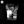 Load image into Gallery viewer, Jack Daniels Smoking Wood Chips
