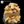 Load image into Gallery viewer, Nectarine Firewood
