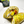 Load image into Gallery viewer, Alderson's Pickle Co.
